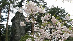 sendai castle site